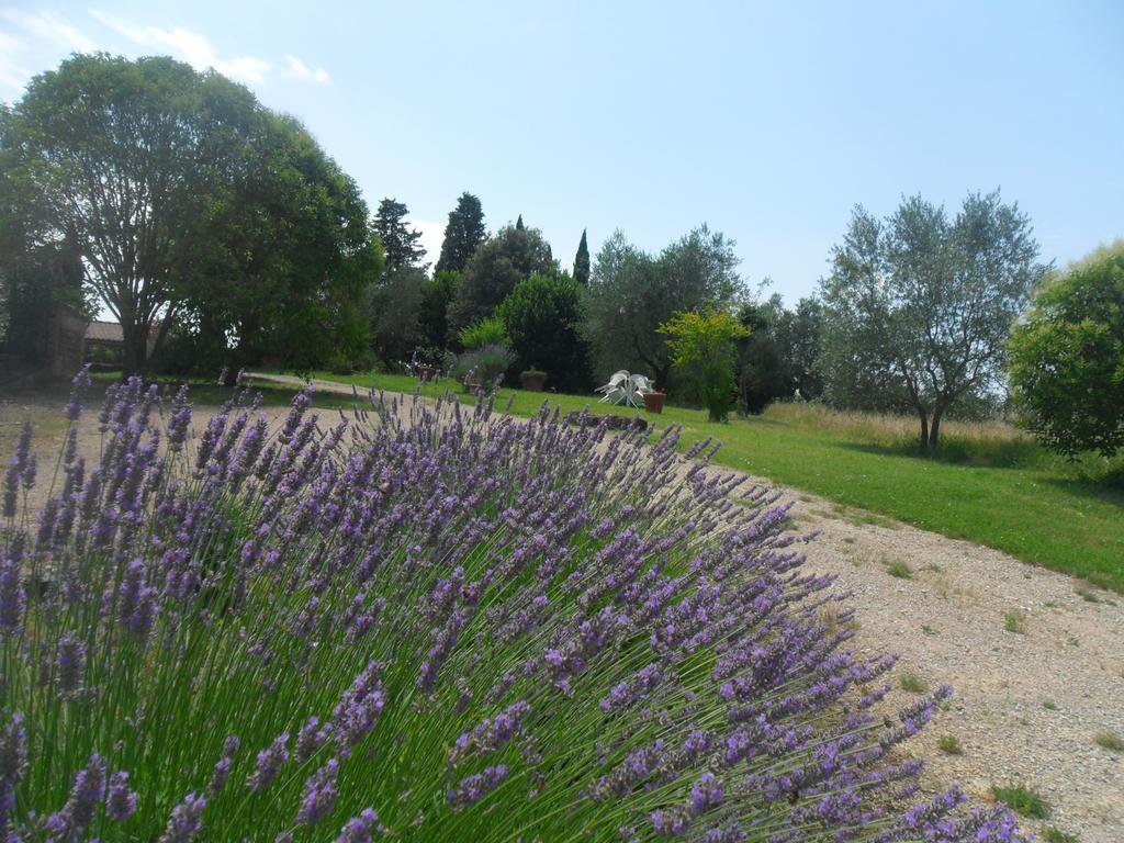Fullino Nero Rta - Residenza Turistico Alberghiera Siena Dış mekan fotoğraf