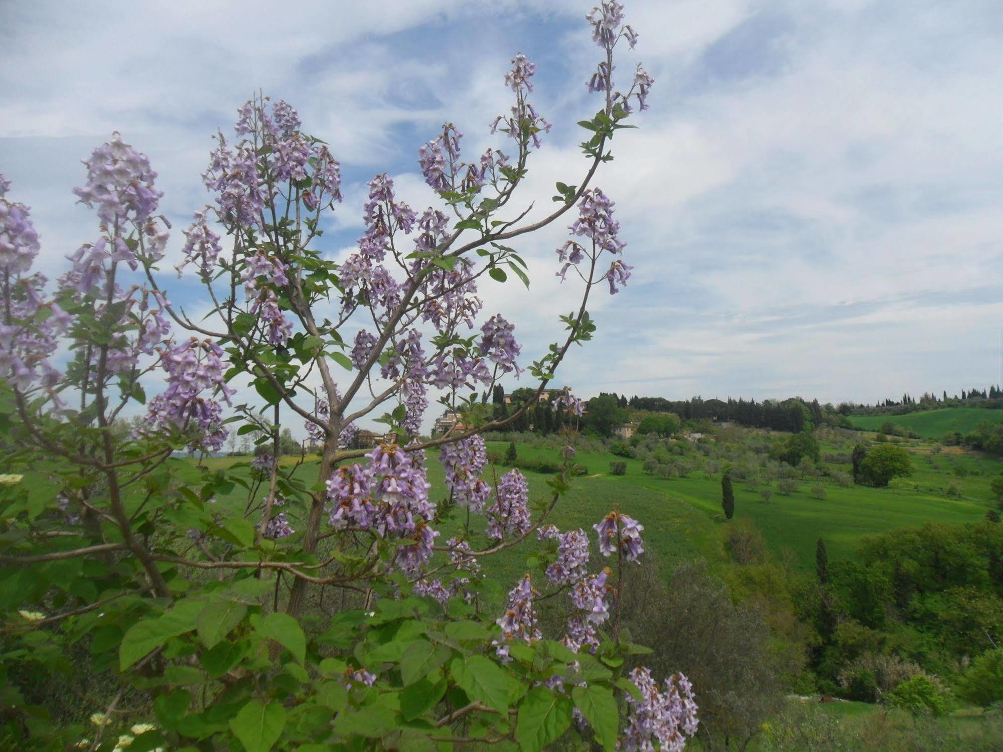 Fullino Nero Rta - Residenza Turistico Alberghiera Siena Dış mekan fotoğraf